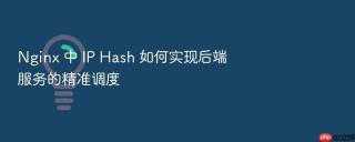nginx 中 ip hash 如何实现后端服务的精准调度