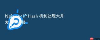 nginx 中 ip hash 机制处理大并发用户连接