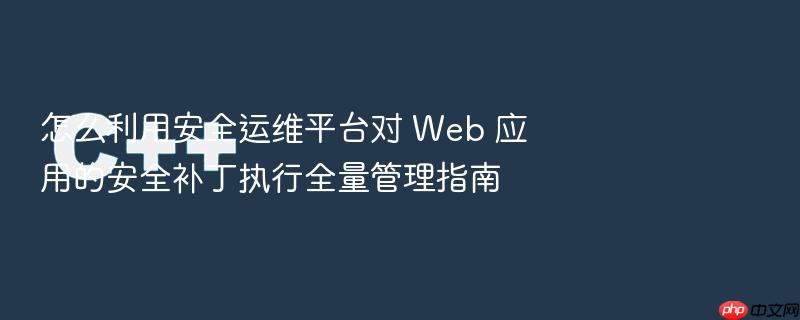 怎么利用安全运维平台对 web 应用的安全补丁执行全量管理指南