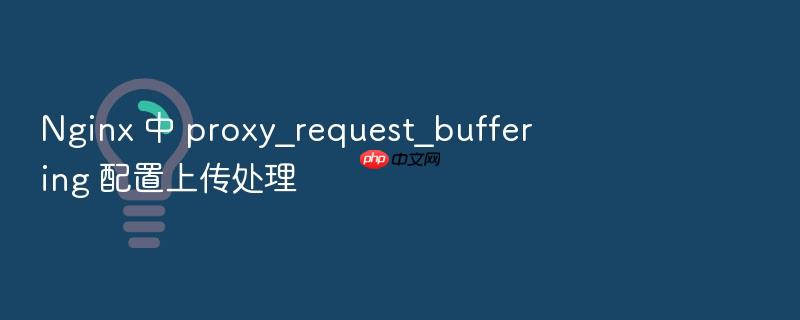 nginx 中 proxy_request_buffering 配置上传处理