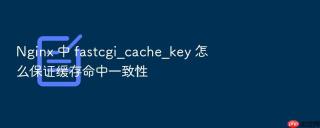 nginx 中 fastcgi_cache_key 怎么保证缓存命中一致性