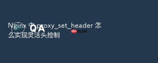 nginx 中 proxy_set_header 怎么实现灵活头控制