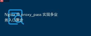 nginx 中 proxy_pass 实现多业务入口聚合