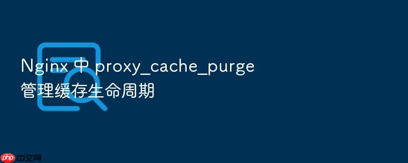 nginx 中 proxy_cache_purge 管理缓存生命周期