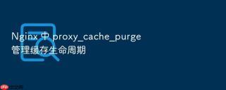 nginx 中 proxy_cache_purge 管理缓存生命周期