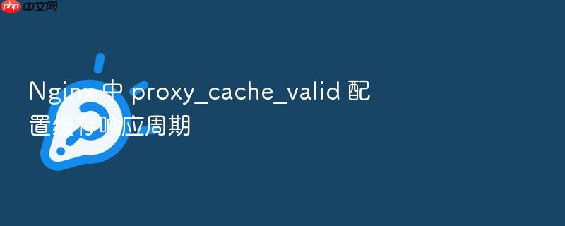 nginx 中 proxy_cache_valid 配置缓存响应周期