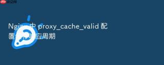 nginx 中 proxy_cache_valid 配置缓存响应周期