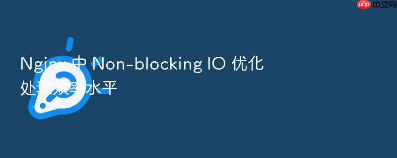 nginx 中 non-blocking io 优化处理效率水平