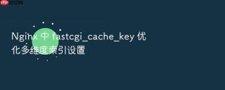 Nginx 中 fastcgi_cache_key 优化多维度索引设置
