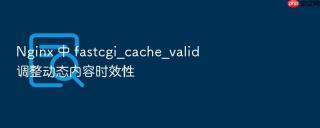Nginx 中 fastcgi_cache_valid 调整动态内容时效性