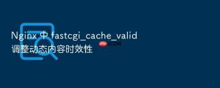 nginx 中 fastcgi_cache_valid 调整动态内容时效性