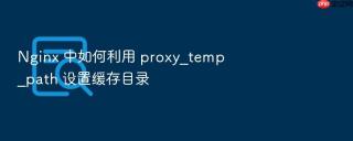 nginx 中如何利用 proxy_temp_path 设置缓存目录