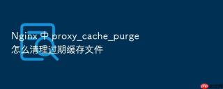 nginx 中 proxy_cache_purge 怎么清理过期缓存文件