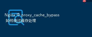 Nginx 中 proxy_cache_bypass 如何绕过缓存处理