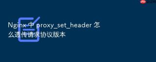 nginx 中 proxy_set_header 怎么透传请求协议版本