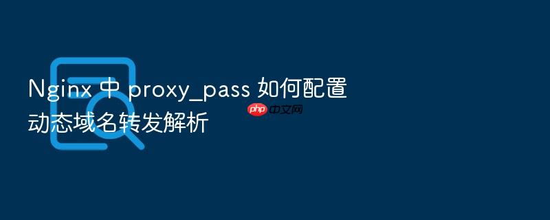 nginx 中 proxy_pass 如何配置动态域名转发解析