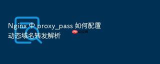 nginx 中 proxy_pass 如何配置动态域名转发解析