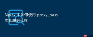 nginx 中如何使用 proxy_pass 实现服务代理