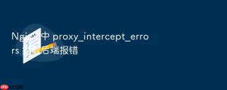 nginx 中 proxy_intercept_errors 拦截后端报错