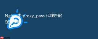 nginx 中 proxy_pass 代理匹配逻辑详解