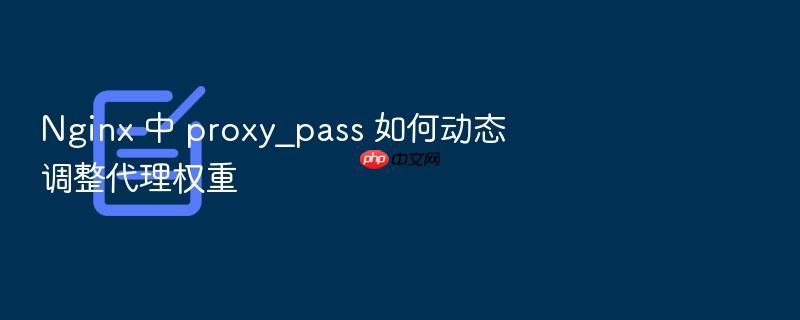 nginx 中 proxy_pass 如何动态调整代理权重