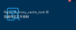 Nginx 中 proxy_cache_lock 实现缓存写互斥控制