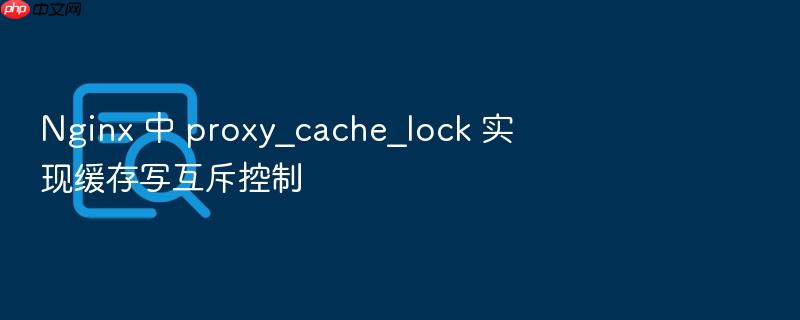 nginx 中 proxy_cache_lock 实现缓存写互斥控制
