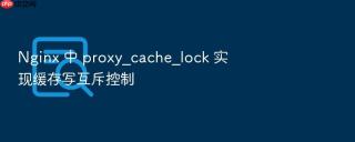 nginx 中 proxy_cache_lock 实现缓存写互斥控制