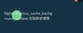 Nginx 中 proxy_cache_background_update 实现异步清理