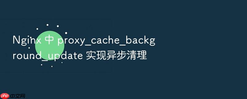 nginx 中 proxy_cache_background_update 实现异步清理