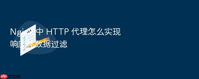 nginx 中 http 代理怎么实现响应体数据过滤