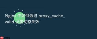 nginx 中如何通过 proxy_cache_valid 设置动态失效