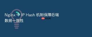 nginx 中 ip hash 机制保障后端数据一致性