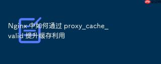 Nginx 中如何通过 proxy_cache_valid 提升缓存利用