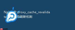 nginx 中 proxy_cache_revalidate 优化缓存刷新机制