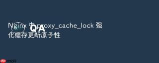 nginx 中 proxy_cache_lock 强化缓存更新原子性