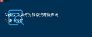 Nginx 中如何为静态资源提供访问统计接口