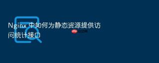 nginx 中如何为静态资源提供访问统计接口