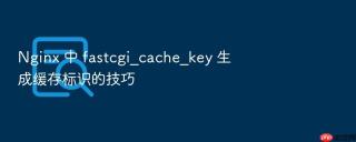 Nginx 中 fastcgi_cache_key 生成缓存标识的技巧