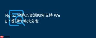 nginx 中静态资源如何支持 webp 等现代格式分发