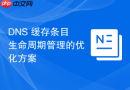 DNS 缓存条目生命周期管理的优化方案