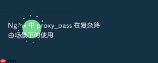 Nginx 中 proxy_pass 在复杂路由场景下的使用