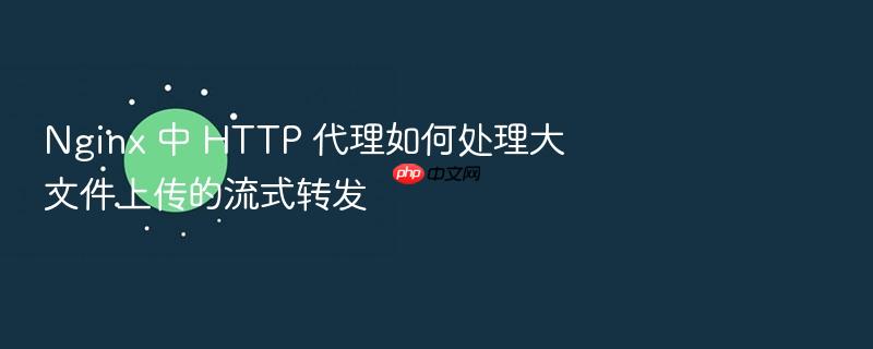 nginx 中 http 代理如何处理大文件上传的流式转发