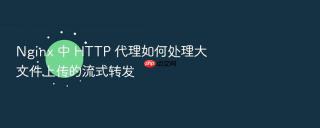 nginx 中 http 代理如何处理大文件上传的流式转发