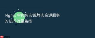 nginx 中如何实现静态资源服务的访问流量监控