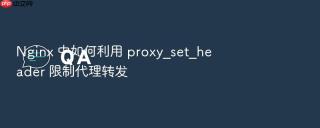nginx 中如何利用 proxy_set_header 限制代理转发