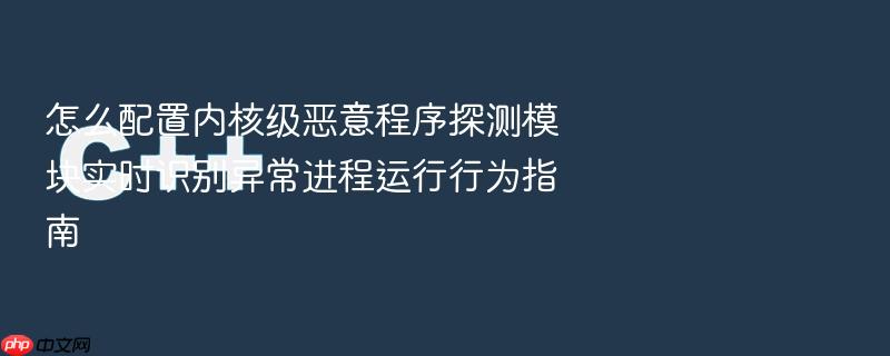 怎么配置内核级恶意程序探测模块实时识别异常进程运行行为指南