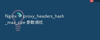 nginx 中 proxy_headers_hash_max_size 参数调优
