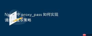 nginx 中 proxy_pass 如何实现请求头重写策略
