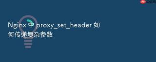 nginx 中 proxy_set_header 如何传递复杂参数